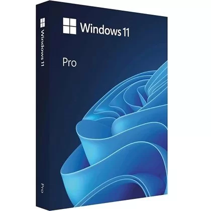 Licensed Operating System Microsoft OEM Windows 11 Pro english Language: English OEM