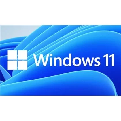 Licensed Operating System Microsoft OEM Windows 11 Pro english Language: English OEM