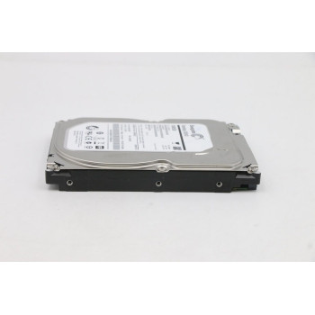 Internal Hard Drive Seagate 45K0648 3.5" 1TB