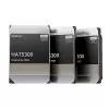 Жесткий Диск Synology HDD SAS 16TB HAS5300-16T 3.5" 16TB