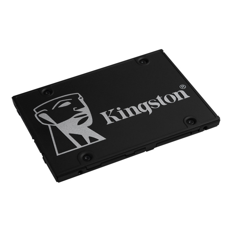 A special order cannot be canceled by the customer (~ 23 days): SSD Disk Kingston SKC600/256G 2.5" 256GB SATA 3