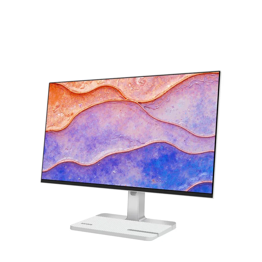 Lenovo L24D-4C Monitor