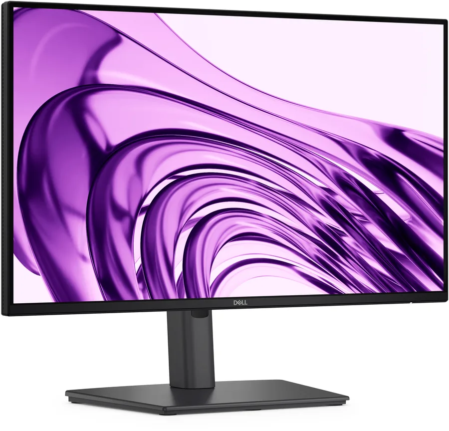 Dell 22 Monitor P2226H