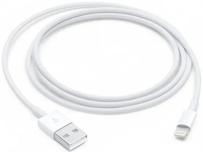 Apple Lightning to USB 1M Cable