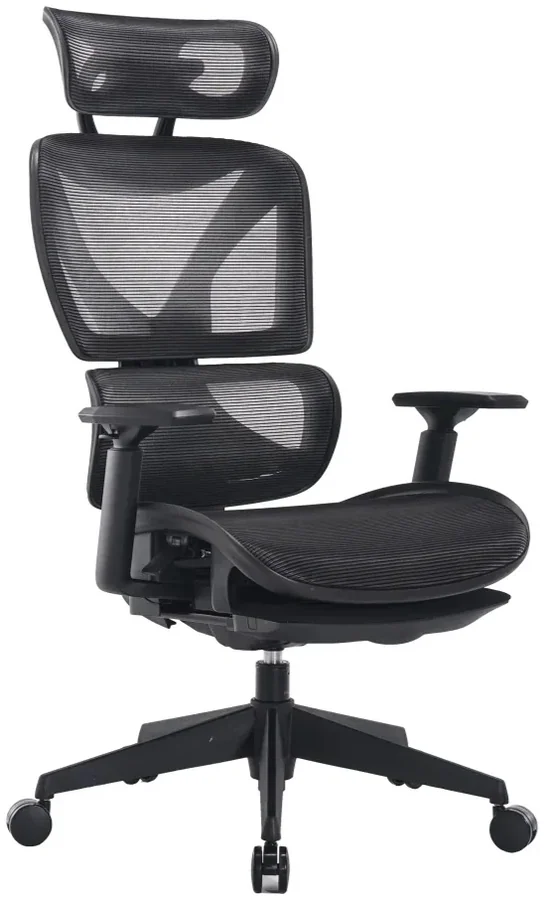 Miracase MWMS200 Ergonomic Executive Chair Black with Dark Grey Frame