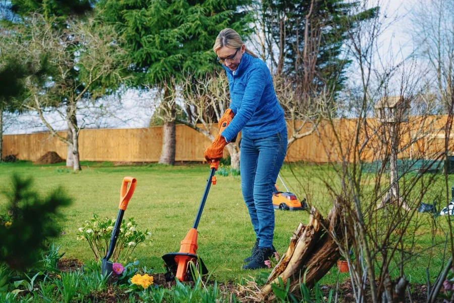 Аккумуляторный культиватор Black & Decker BETL1820L 18V 20cm