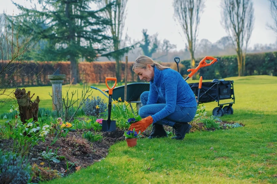 Аккумуляторный культиватор Black & Decker BETL1820L 18V 20cm