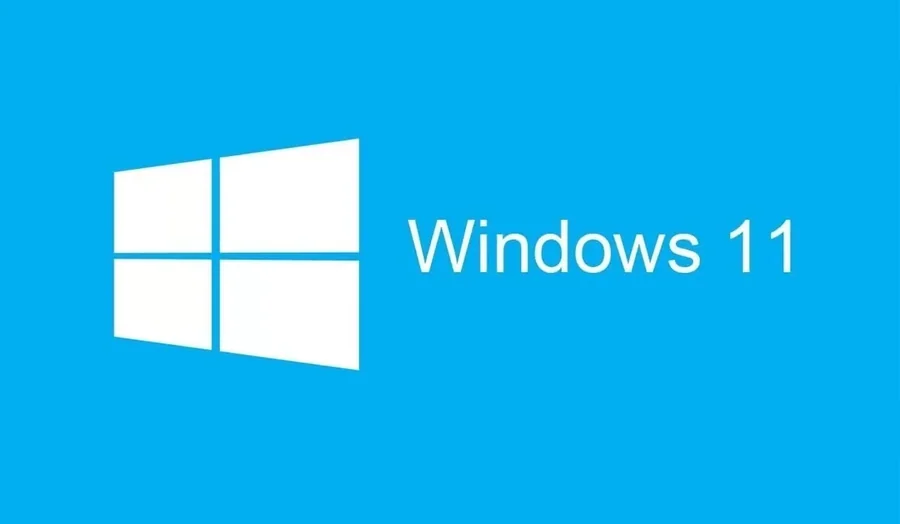 Microsoft OEM Windows 11 Home Hebrew 64-bit DVD