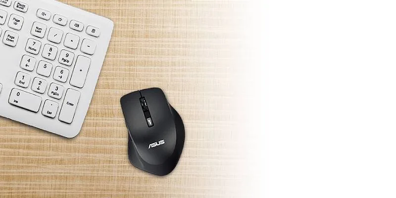 Asus WT425