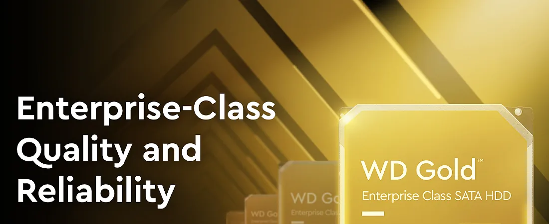 WD Gold Enterprise HDD