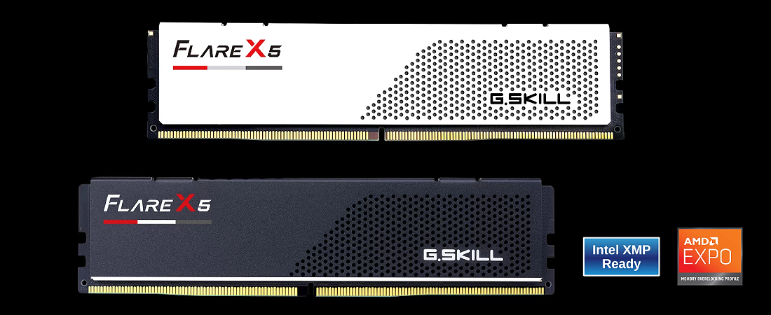 G.Skill Flare X5 DDR5 — תקריב המ模דול