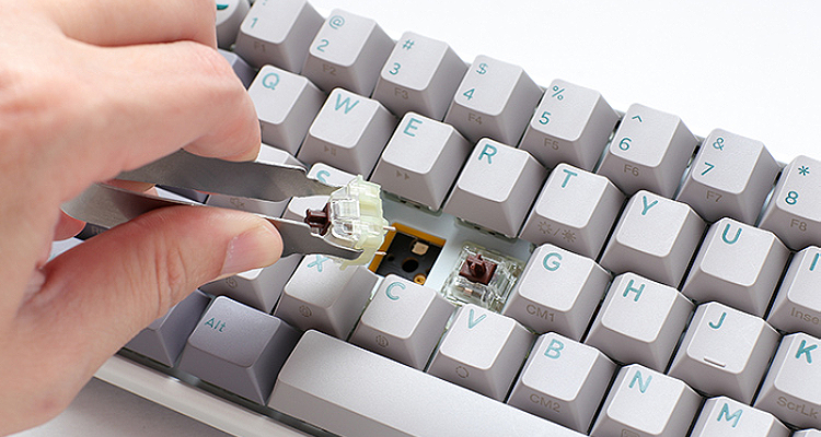 Cherry MX Red switches