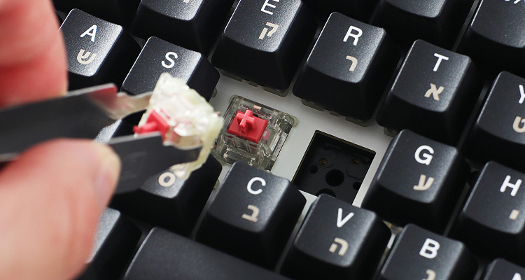 ProjectD Tinker Barebone