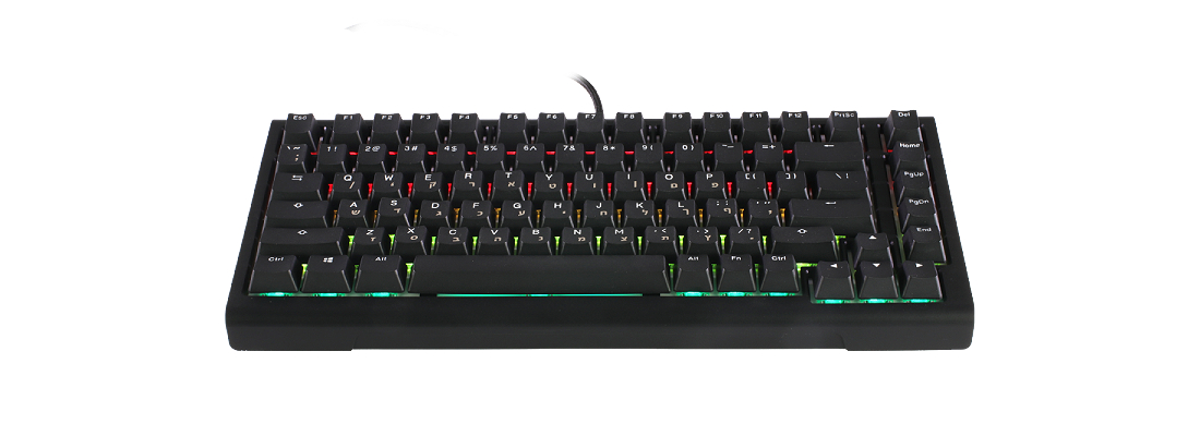 Ducky ProjectD Tinker 75