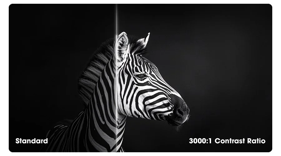 4K display performance for creative work