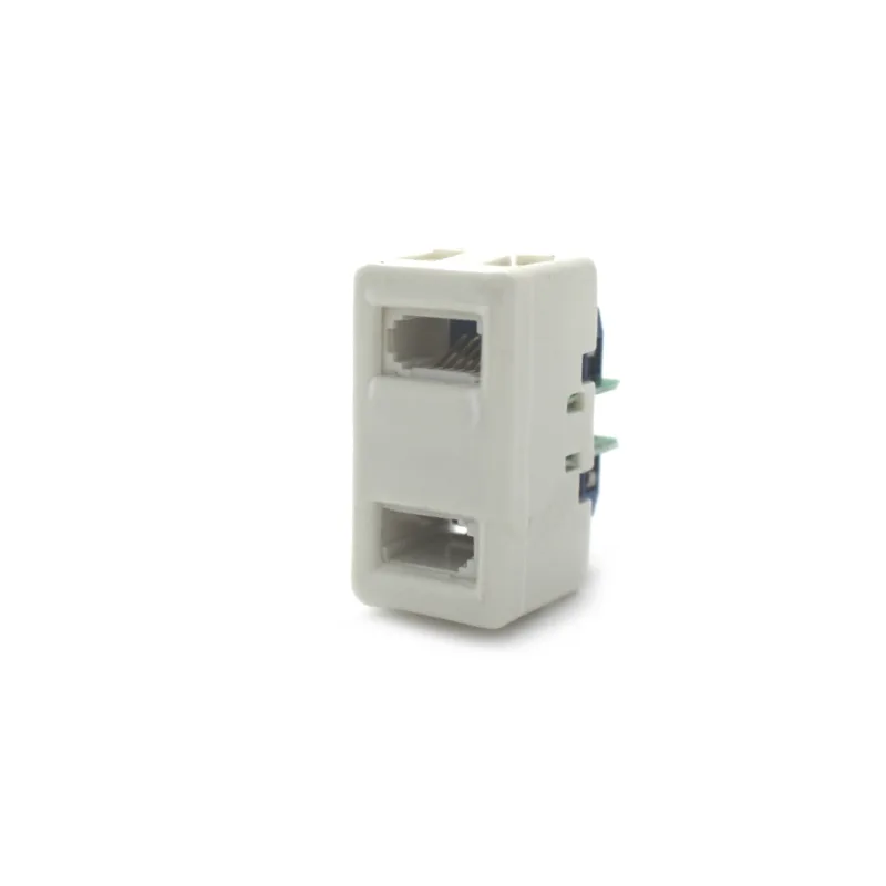 Luggar Gewiss Insert with Two UK Telephone Jack